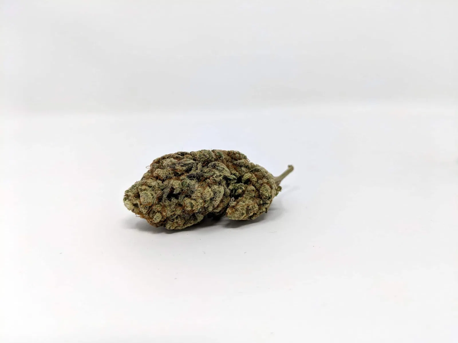 Alien Cream Cake