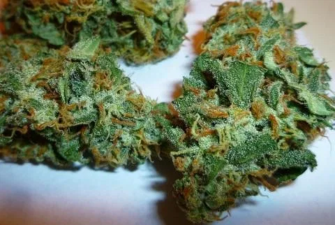 Blueberry