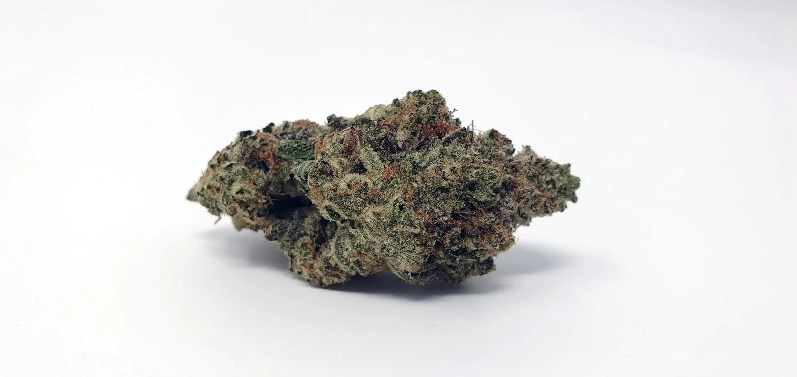 Ginger Glue by Black Sheep Botanicals