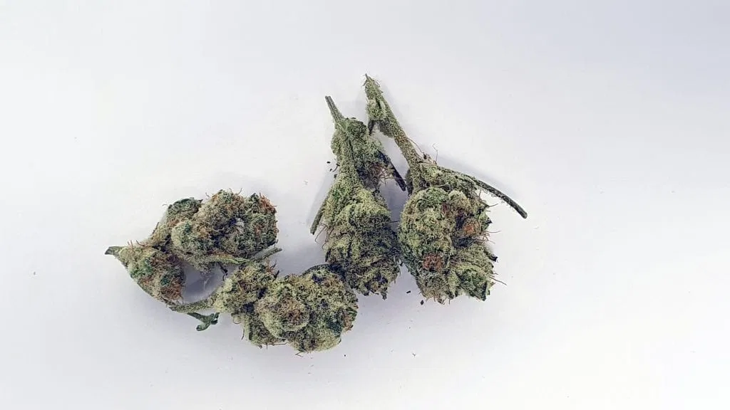 Slurricane