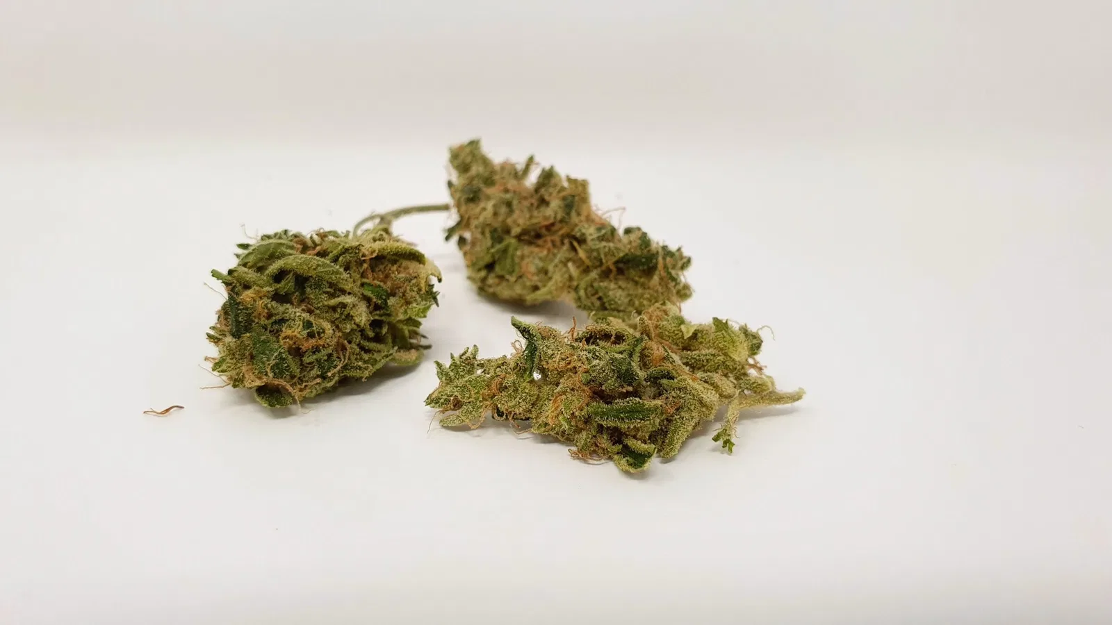 Sour Tangie