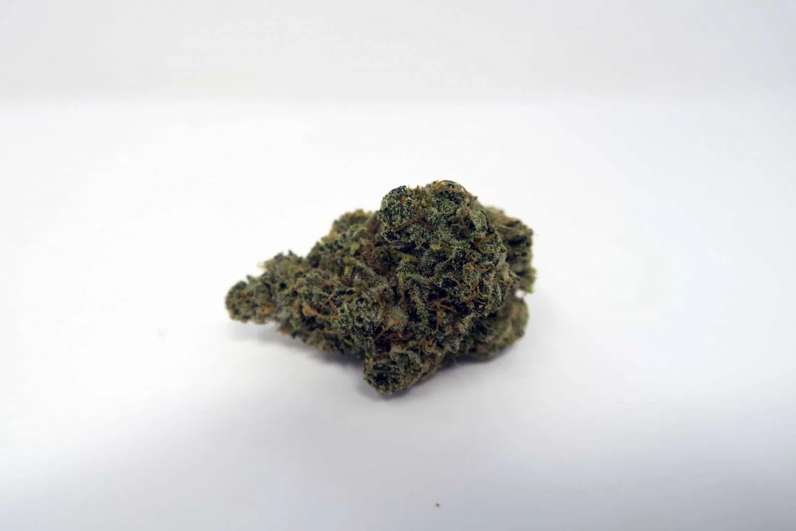 Super Orange Glue