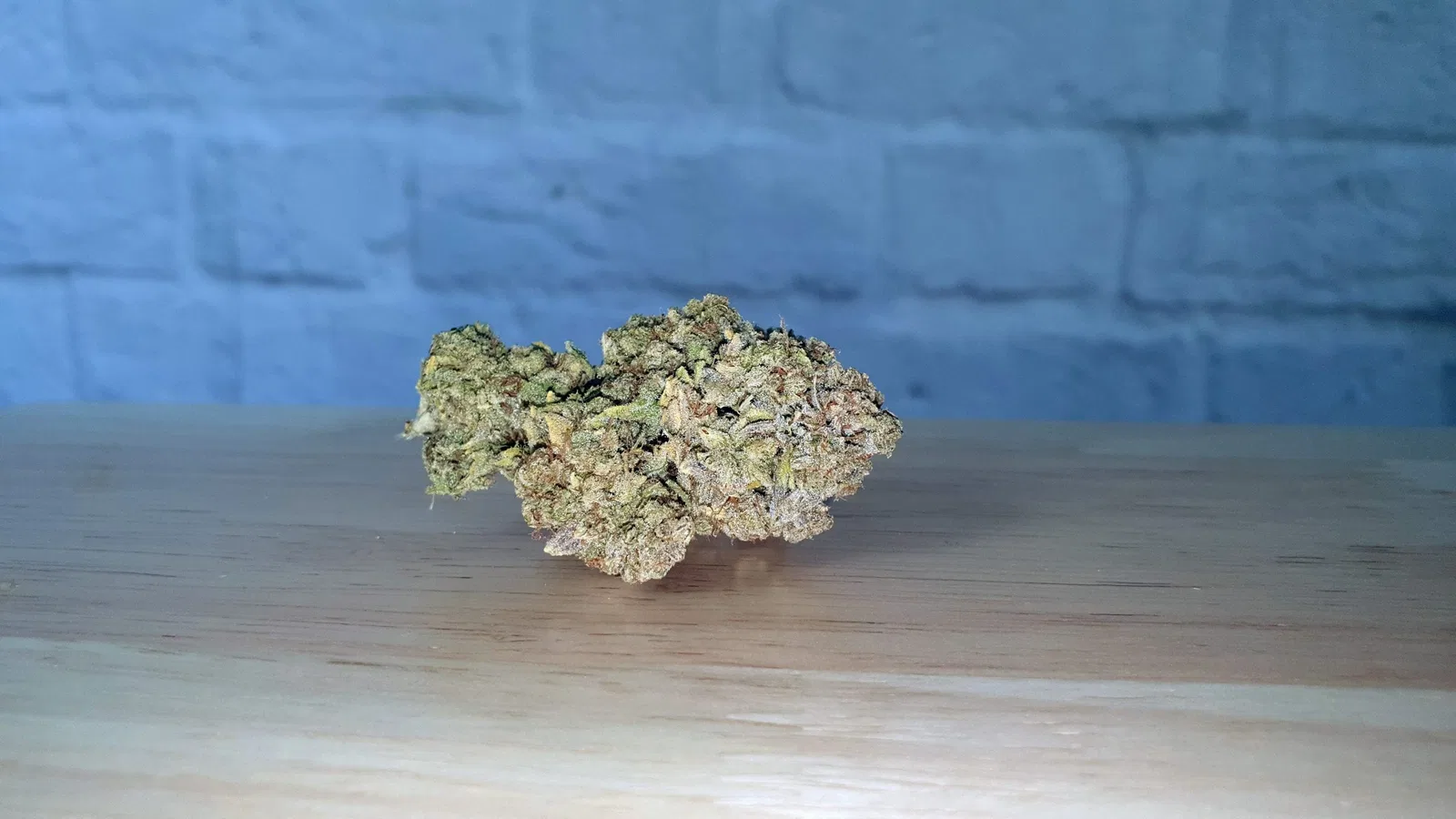 Yeti OG
